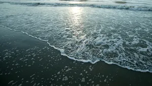 Aurescu: Vom impulsiona procesul de delimitare a spaţiilor maritime între România şi Bulgaria