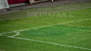 Sandu nu vrea să mai dea bani pentru gazonul de pe Arena Naţională