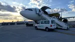 România livrează peste 4.000 de ovine în Algeria cu transport aerian, o premieră logistică
