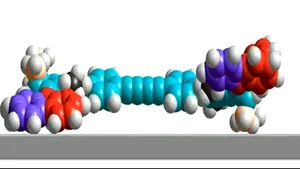 Care este cea mai mică 