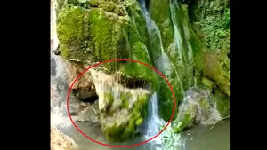 Prăbuşirea Cascadei Bigăr. Preşedintele Coaliţia Natura 2000: Distrugerea de patrimoniu natural, de monument al naturii este faptă penală