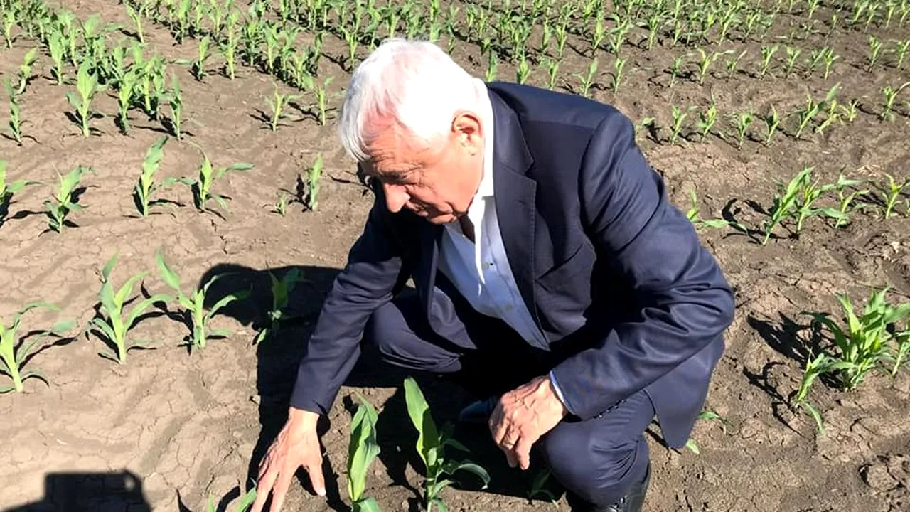Ministerul Agriculturii: Fermierii pot depune documentaţiile pentru culturile afectate de secetă 
