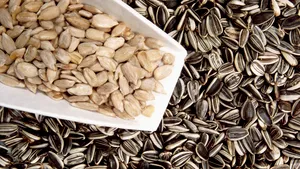 Măsuri pentru combaterea noului coronavirus. Spaniolii nu mai au voie să spargă seminţe pe străzi