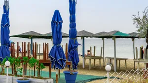 Mediul de afaceri e în moarte clinică după starea de alertă: Interdicţiile, mai periculoase decât COVID-19 pentru industria HORECA. Ajutoarele de la stat întârzie