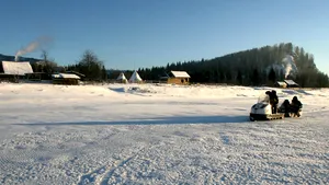 Cadavrele a şapte oameni de afaceri asasinaţi, descoperite în Siberia