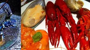 Ştiaţi că există homari albaştri? Cum să găteşi un homar