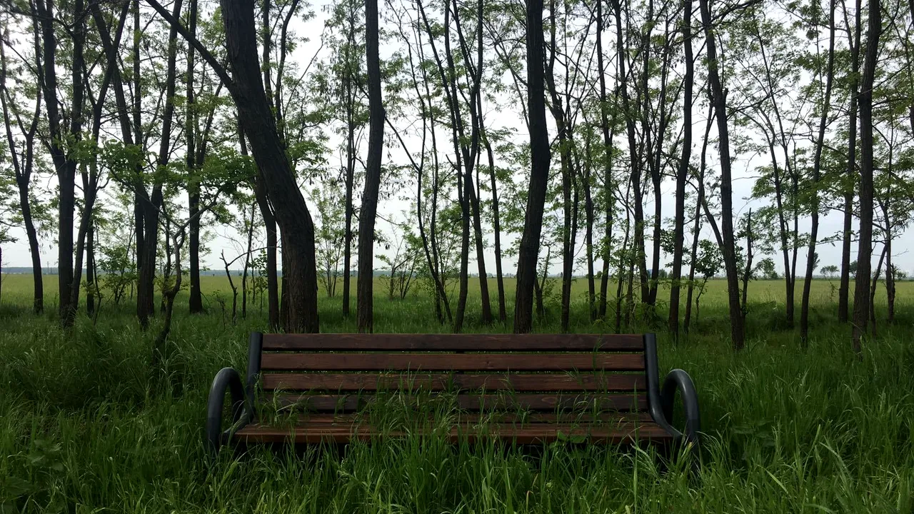 FOTO Investiţii degeaba. Bănci montate pe marginea unui drum judeţean pe unde nu trece nimeni