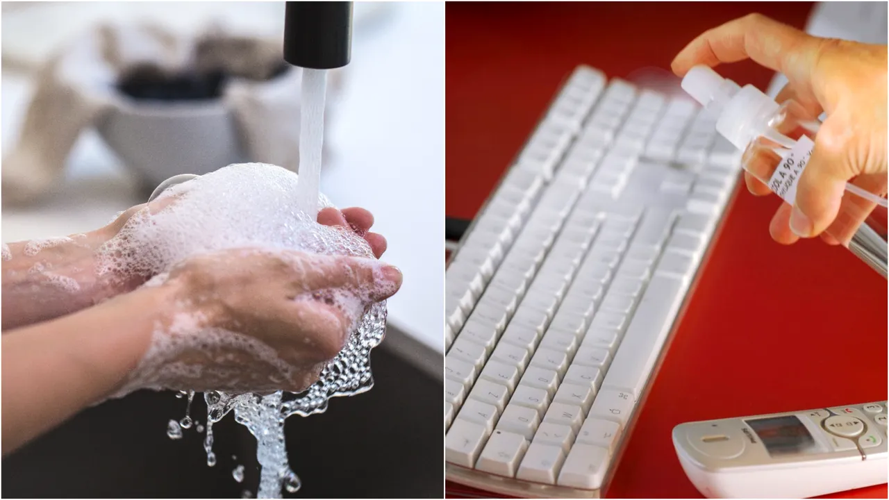 Cum să te fereşti de Coronavirus. 10 lucruri esenţiale despre transmiterea virusului, când să foloseşti măştile medicale şi dacă se transmite de la animalele de companie