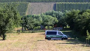 Steag al grupării Stat Islamic, găsit la domiciliul autorului atacului comis într-un tren din Germania / Reţeaua Stat Islamic revendică atacul - VIDEO