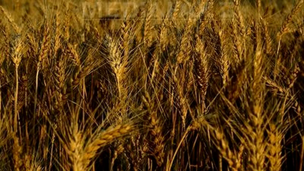 Romanian Parliament Committees OK Agriculture Ministry Budget