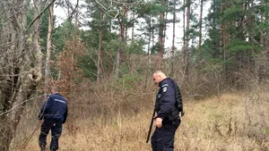 Prahova: Un vârstnic a ajuns la spital, după ce a fost atacat de un urs 