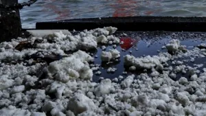 Zece plaje celebre din Hong Kong, închise după ce au fost acoperite de o spumă 