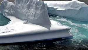 Calota arctică se va topi complet peste cel mult 30 de ani