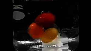 Speranță în lupta cu microplasticele: Un nou tip de plastic se dizolvă în apa de mare în doar o oră