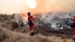 Majoritatea celor 12 victime ale incendiilor din Spania sunt cetățeni străini
