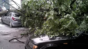 Locuinţe inundate, maşini avariate şi copaci rupţi, în urma unei furtuni în Medgidia
