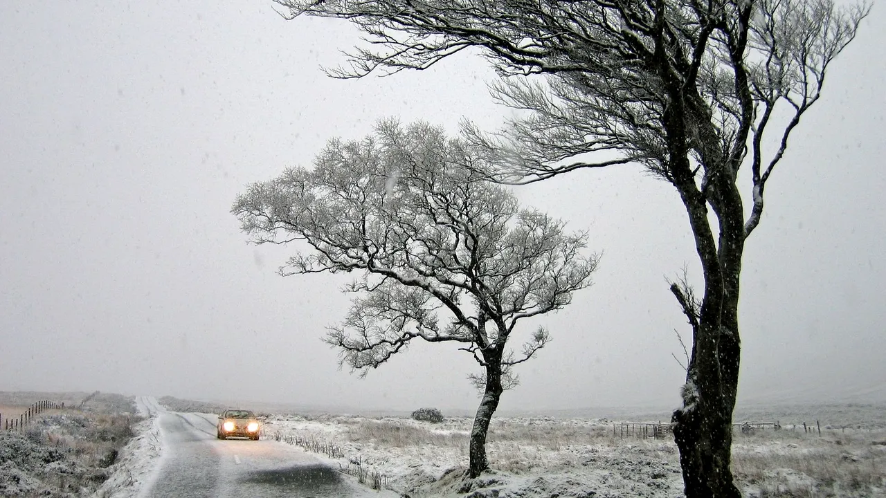 Atenţionare METEO: Vreme rece, cu vânt, lapoviţă şi ninsoare. Meteorologii anunţă ger la final de săptămână