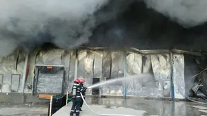 FOTO, VIDEO | Incendiu puternic la o fabrică de mezeluri din judeţul Alba: Există pericol de prăbuşire
