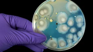 O nouă familie de antibiotice, descoperită în sol. Compuşii naturali care pot vindeca maladii grave