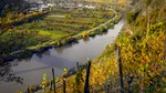 Ziua Prosecco. Cum a ajuns un vin apreciat de romani cunoscut în lume de abia în secolul XXI