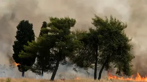 Turcia și Albania se confruntă cu mari incendii de vegetație după valuri de caniculă extremă