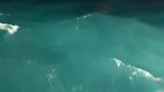 Care e starea marinarilor de pe nava scufundată joi în Marea Neagră