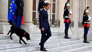 Macron l-a adus pe căpitanul Nemo la palat. Preşedintele Franţei şi soţia sa au adoptat 