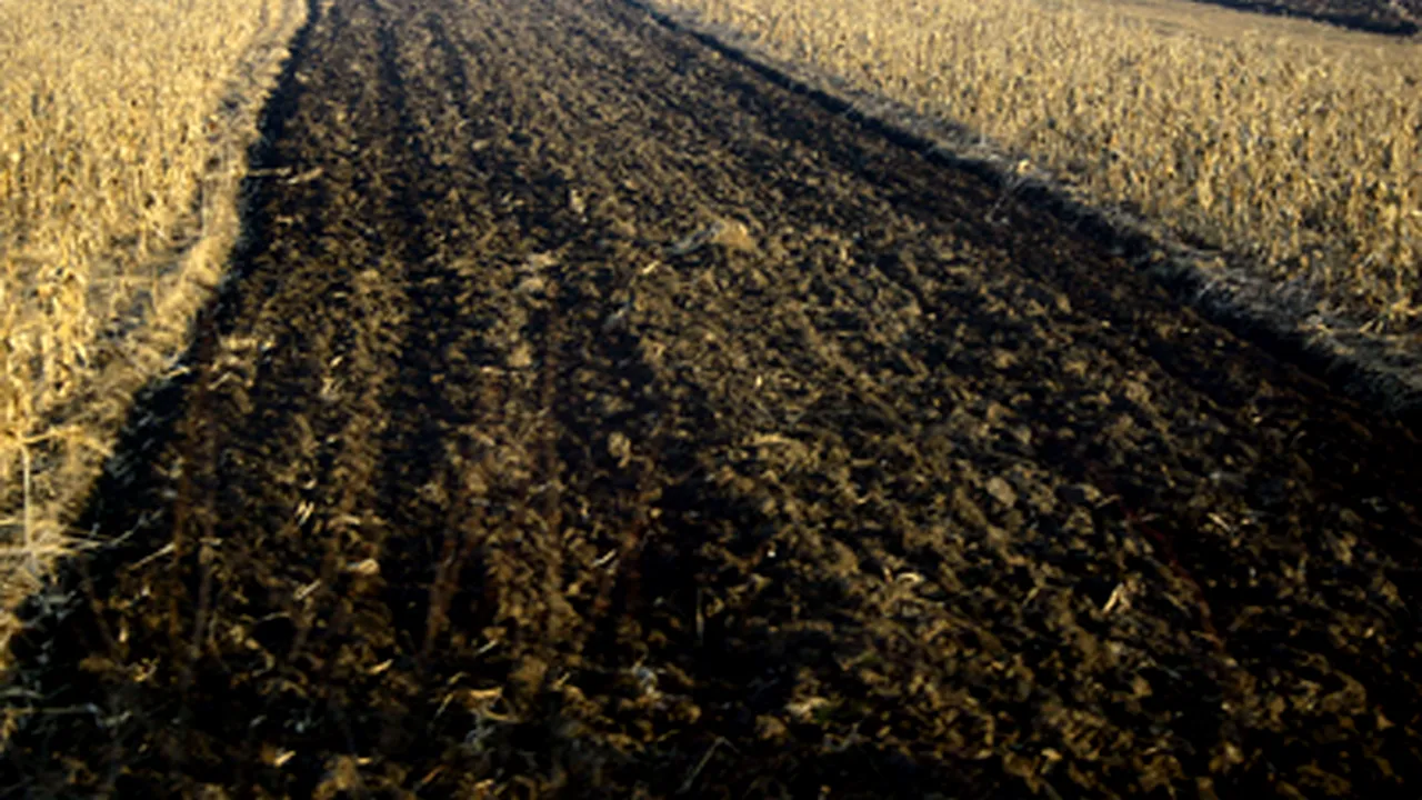 Ponta cere ministrului Agriculturii să rezolve cu băncile 