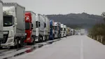 Alertă pentru români. Restricții de transport la granița cu Ungaria din cauza febrei aftoase