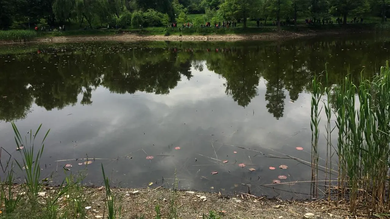 PMB sapă un puţ de mare adâncime în Parcul Circului pentru ca nivelul apei din lac să nu mai scadă