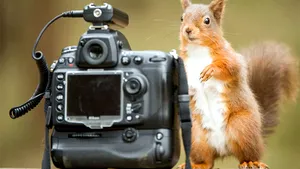 MEDIAFAX ZOOM: Animale în jurul lumii, aprilie 2013 - GALERIE FOTO