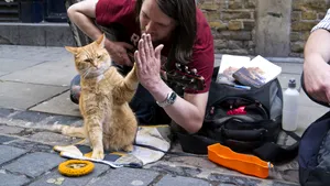 Motanul Bob, vedeta unei serii de romane, a murit la 14 ani

