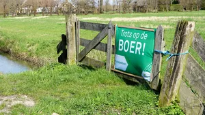 Descoperire îngrijorătoare a olandezilor. Animalele de la două ferme ar fi transmis noul coronavirus către om