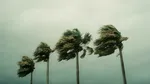 Fenomen meteorologic rar în Pacific. Din cauza El Niño, trei uragane apar în același timp și amenință țărmurile americane