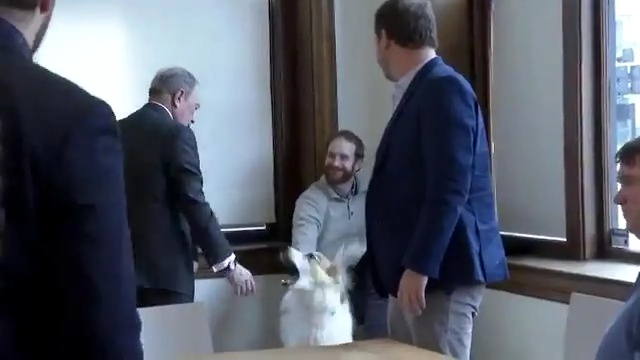 VIDEO: Modul bizar în care miliardarul Mike Bloomberg, intrat în cursa pentru Casa Albă, salută un câine