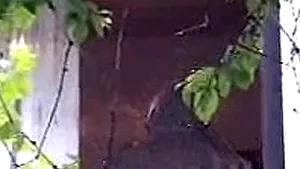 Buzău: Un jandarm, soţia sa şi copilul lor, găsiţi morţi