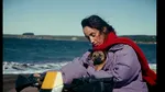 Vedeta Festivalului de la Cannes: Yuri, o cățelușă salvată dintr-un adăpost