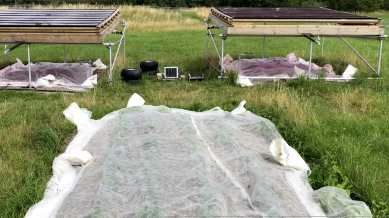 Panourile solare colorate pot schimba modul în care este folosit terenul agricol