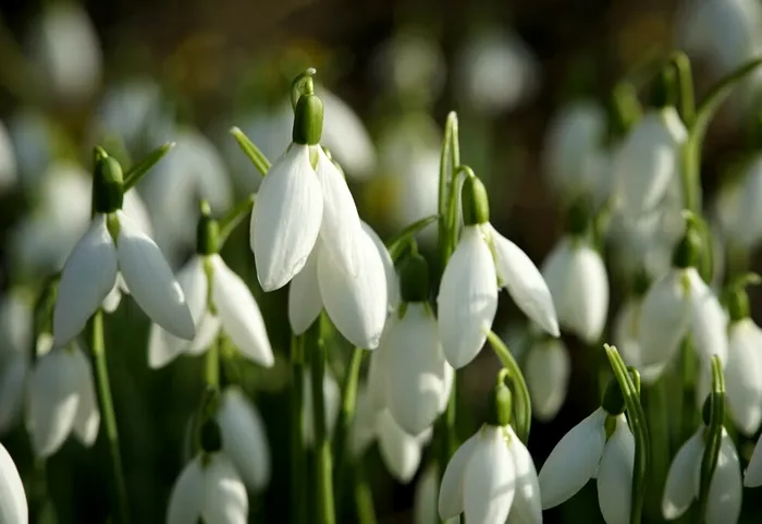 METEO Prognoza meteo pentru următoarele 4 săptămâni. Cum va fi vremea de Paștele catolic