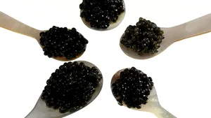 Romanian International Caviar Corporation May Be Listed At Frankfurt