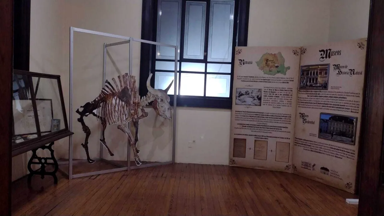 Muzeul de Istorie Naturală din Sibiu expune piese la Muzeul Institutului de Geologie din Mexic