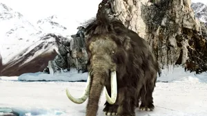 Oamenii de știință au descoperit ADN de mamut în excremente congelate de veveriță