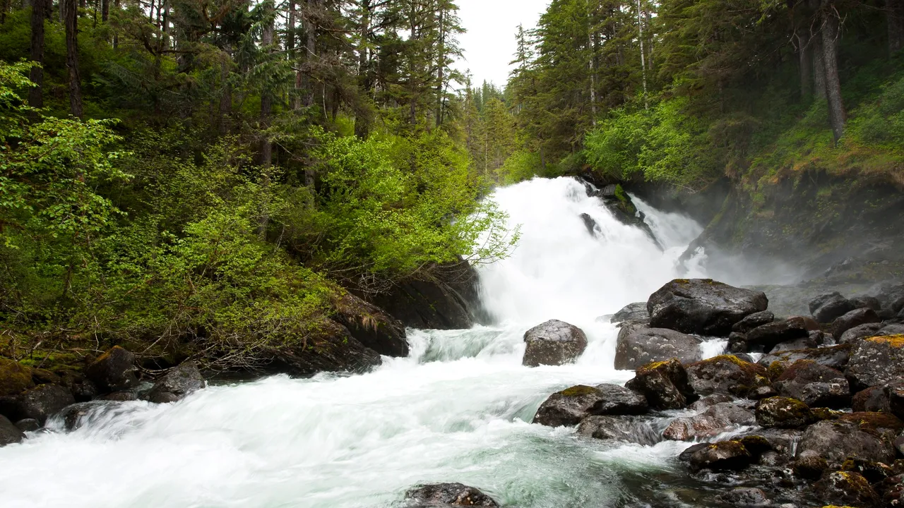 Trump vrea să sape după petrol şi gaze în ecosistemele neatinse din Alaska 