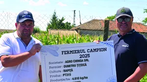Fermieri campioni la rapiță în județele Brăila, Constanța și Caraș-Severin cu hibrizii Pioneer