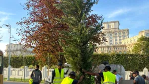 Bulevardul 13 Septembrie se transformă în coridor verde. Ciucu anunță 1.200 de arbori și 25.000 de arbuști