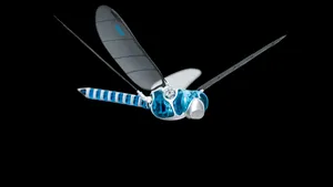 Un zoolog studiază zborul libelulor pentru a dezvolta cele mai performante drone