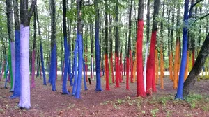 GALERIE FOTO | Manifest artistic împotriva defrişărilor: Sute de copaci dintr-o pădure, coloraţi cu vopsea ecologică