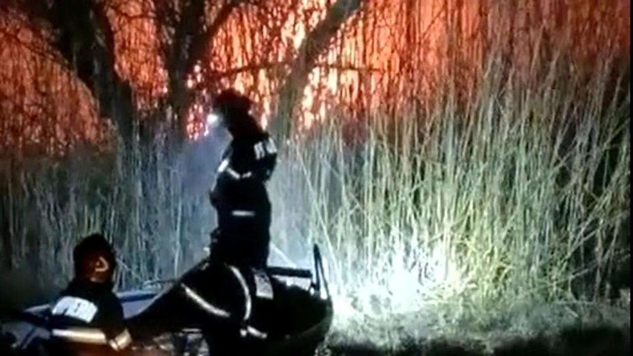 Incendiu puternic în Delta Dunării: ard papură şi stuf pe 150 de hectare