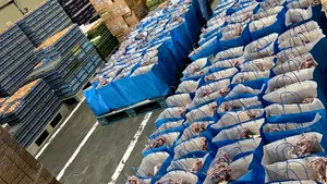 Toneli Holding se implică tot mai mult în acţiuni de CSR 
