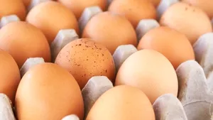 Ministerul Agriculturii vrea să restricţioneze importurile de ouă şi carne de pasăre din Ucraina